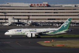 JA01AN / JA874A あさひろ 機体記号 : JA874A (ANA) 航空機体ガイド | FlyTeam(フライチーム)