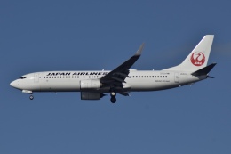 箕島さんが、羽田空港で撮影した日本航空 737-846の航空フォト（飛行機 写真・画像）