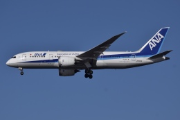 ja802a確認用 Amazon.co.jp: ANA ボーイング 787-8 特別塗装機 JA802A 1/200