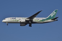 ANA B787-8 グリーンジェット 特別塗装 JC Wings 1/400 ANA B787-8 グリーンジェット 特別塗装 JC Wings 1/400