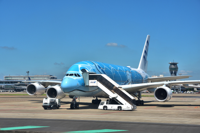成田国際空港 エアバスA380 航空フォト(飛行機 写真・画像
