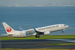 Souma2005さんが、羽田空港で撮影した日本トランスオーシャン航空 737-8Q3の航空フォト（飛行機 写真・画像）