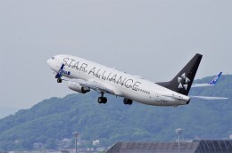 mild lifeさんが、伊丹空港で撮影した全日空 737-881の航空フォト（飛行機 写真・画像）
