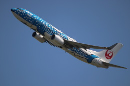 初代❣️レア❣️日本トランスオーシャン航空 737モデル 2機セット 非売品・新商品情報】1/200 737-800 日本トランスオーシャン航空