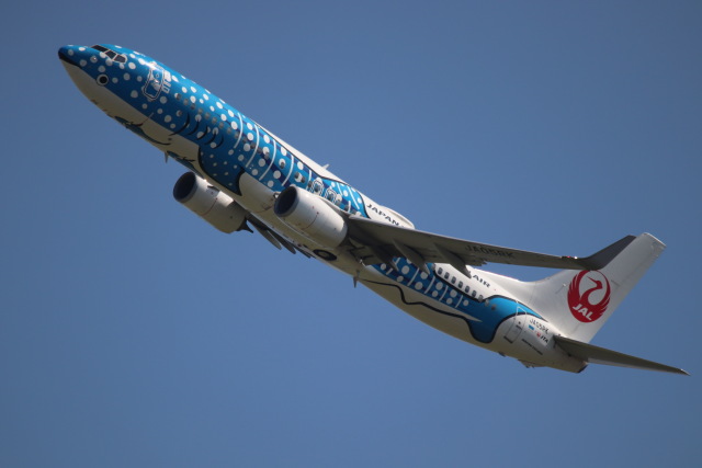 機体記号 : JA05RK (JTA) 特別塗装機「2代目 ジンベエジェット