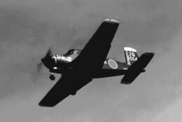 富士重工 LM-1/LM-2 航空機 徹底ガイド | FlyTeam(フライチーム)