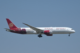 航空機・ヘリコプター B 787-9 CNT-0029805@2x.jpg
