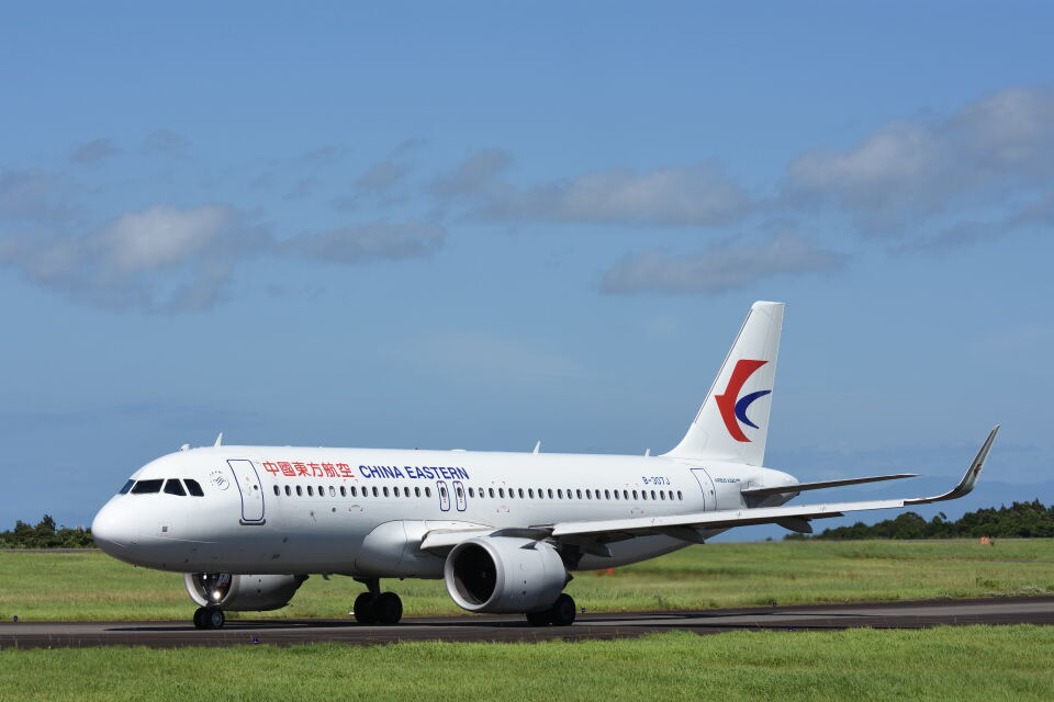 Aviation 1:200 中国国際航空 A320NEO B-309G Aviation 1:200 AIR CHINA Airbus A320neo Diecast Aircraft Jet