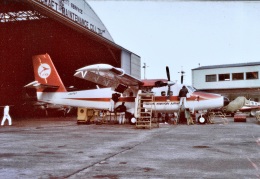 5034720011さんが、調布飛行場で撮影した日本近距離航空 DHC-6-300 Twin Otterの航空フォト（飛行機 写真・画像）