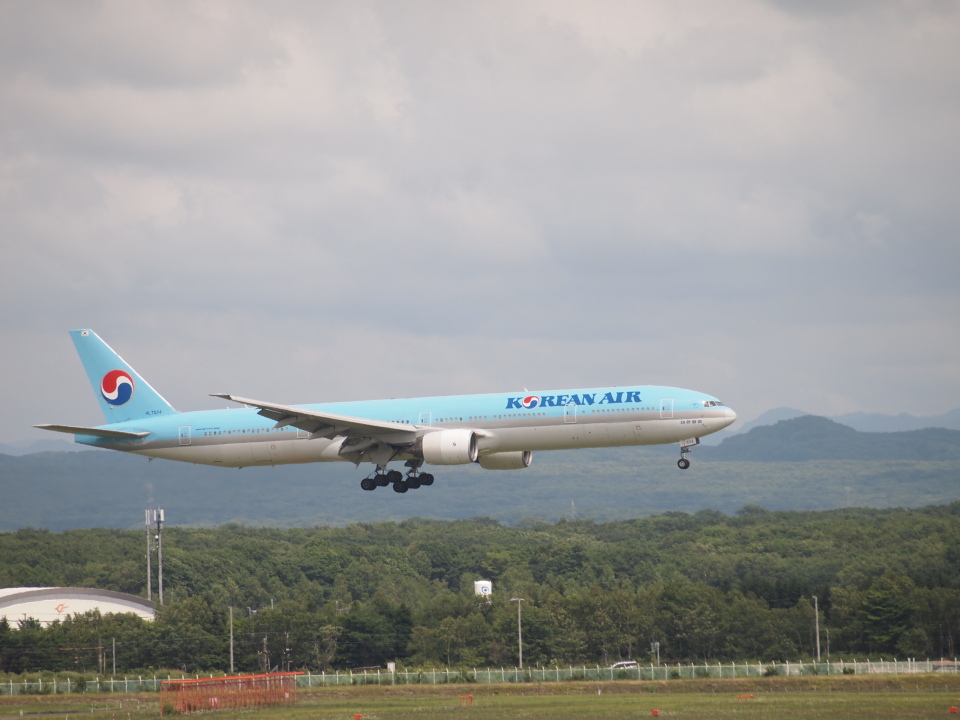 KOREAN AIR 777-300ER コリアン 大韓航空 50周年 jc Korean Air Boeing 777-300ER HL8008 50 Years Excellence stand