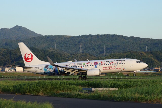 ☆希少☆ カンタス航空 B737-800 特別塗装機 Amazon.co.jp: カンタス航空 B737 800 特別塗装機 : おもちゃ
