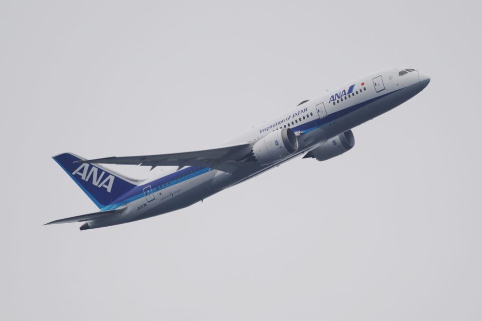 航空機・ヘリコプター BOEING 787-8 ANA JA817A JA817A | Boeing 787-8 Dreamliner | All Nippon Airways (ANA