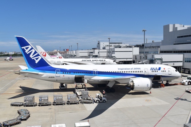 ANA (全日空) 機材一覧 ボーイング737-700 | FlyTeam(フライチーム)