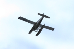 mocchyさんが、バンクーバー・ハーバー・ウォーター空港で撮影したGulf Island Seaplanes DHC-2 Beaver Mk.1の航空フォト（飛行機 写真・画像）