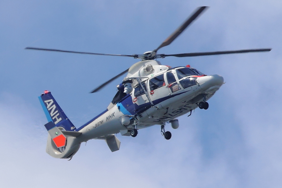 オールニッポンヘリコプター　AS365N　ユーロコプター オールニッポンヘリコプター Eurocopter AS365/565 Dauphin 2