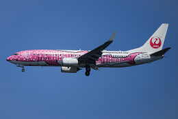 Japan Transocean B737-800 サクラジンベエ かとう ジンベエ塗装が新旧勢ぞろい 写真特集・JTA新さくらジンベエ沖縄到着