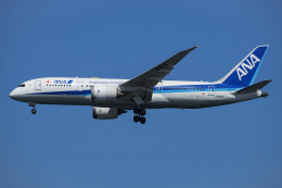 1/400 JA817A ANA 全日本空輸 B787-8 Amazon.co.jp: ANA B787-8 JA817A 1/400 飛行機模型 : おもちゃ