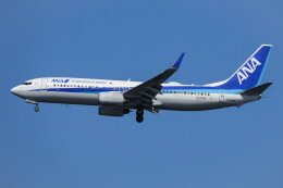 全日空 Boeing 787-8 Dreamliner JA817A 羽田空港 航空フォト
