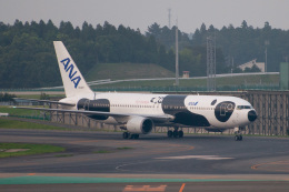 FLY!パンダ」特別塗装機 全日空 (767-300 | JA606A) ガイド
