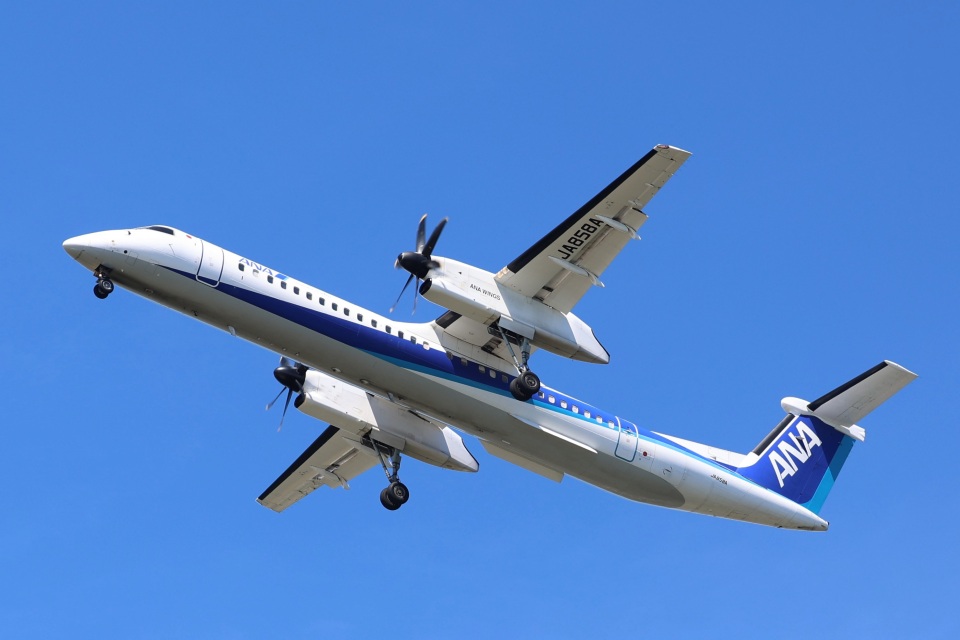 ANA AirJapan クルータグ AirJapanフライトバウチャー|ANAマイレージクラブ