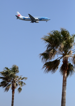 機体記号 : JA8939 (JTA) 航空機体ガイド | FlyTeam(フライチーム)