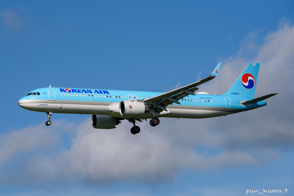 大韓航空　バレッタ　ブルー 大韓航空 バレッタ ブルー - メルカリ