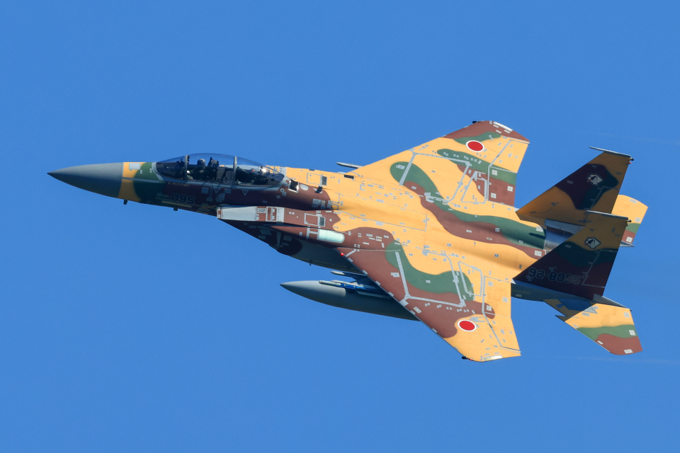 航空自衛隊 Mitsubishi F-15DJ Eagle 92-8095 小松空港 航空
