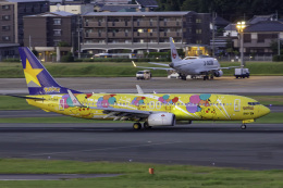 スカイマーク　BCジェット1号機　 1:200 BC20001 HOGAN SKYMARK Airlines / スカイマーク B737-800