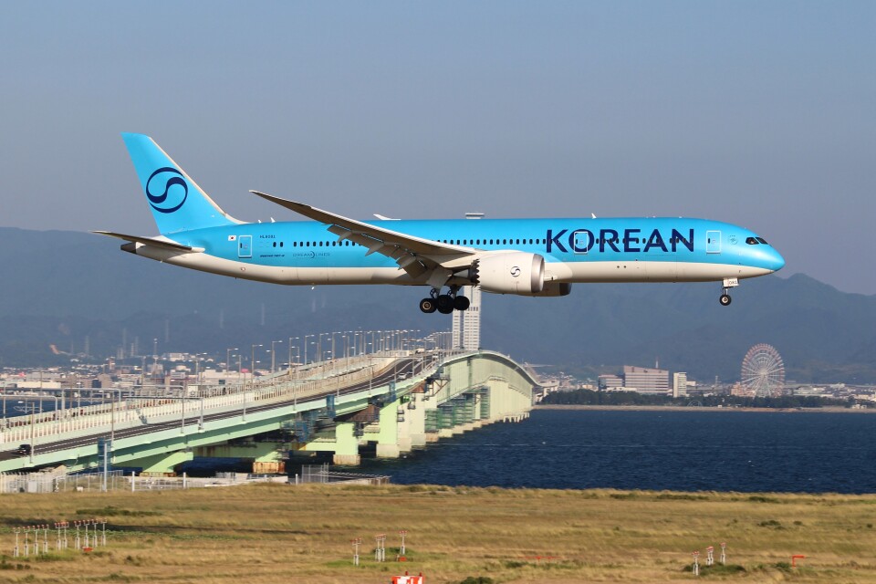 大韓航空　バレッタ　ブルー 大韓航空 バレッタ ブルー - メルカリ