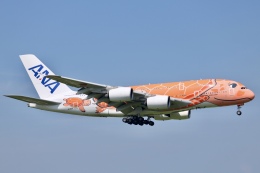 フライングホヌ ラー/3号機」特別塗装機 全日空 (A380 | JA383A