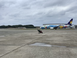 M_M A339さんが、那覇空港で撮影したスカイマーク 737-86Nの航空フォト（飛行機 写真・画像）