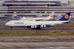 kaeru6006さんが、羽田空港で撮影したルフトハンザドイツ航空 747-830の航空フォト（飛行機 写真・画像）