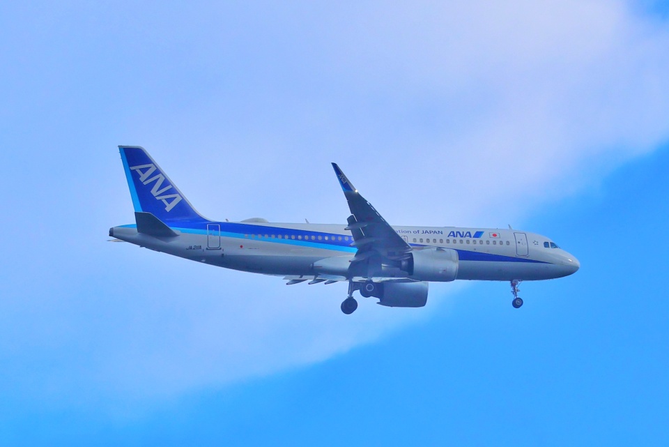 航空機・ヘリコプター ANA A320neo JA211A 640px-ANA_A320neo_(JA211A).jpg