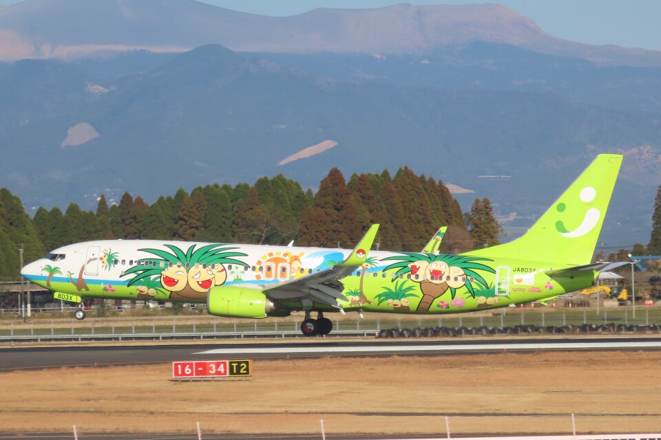 ソラシドエア 737-800 ソラシドエア航空機 JA801Xの写真｜B737-800｜宮崎空港初フライト