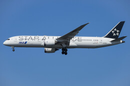 スターアライアンス」特別塗装機 全日空 (787-9 | JA875A
