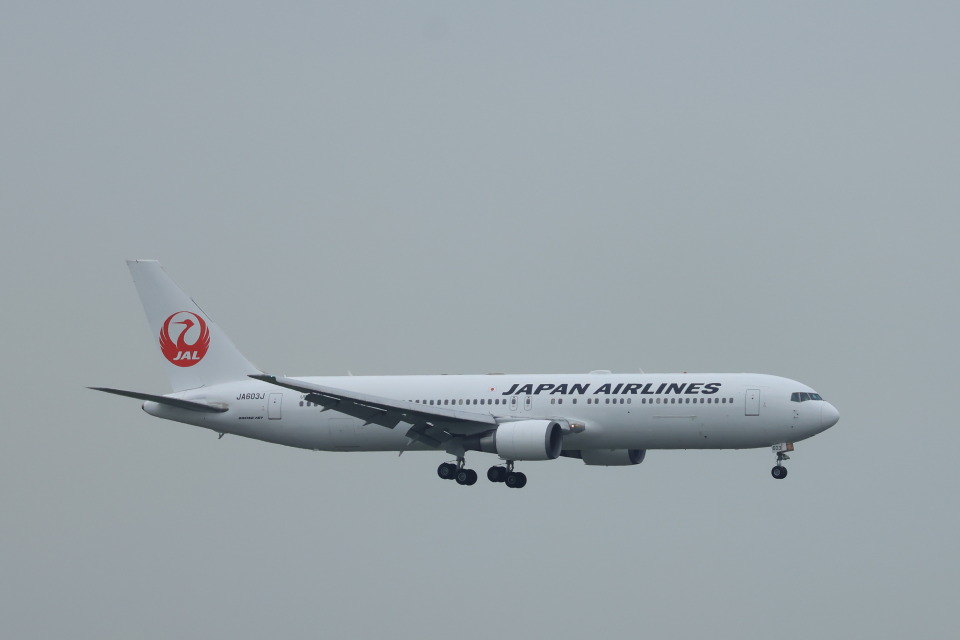 日本航空 Boeing 767-300 ER 日本航空Boeing 767-300ER(JA607J)広島空港 Photographed Japan