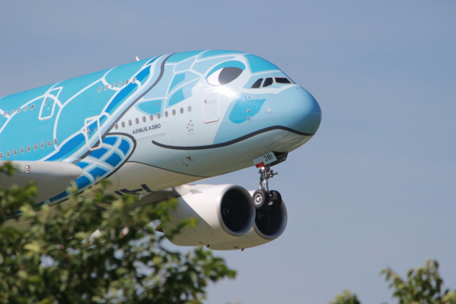 【専用】全日空商事 1/500 エアバス A380 ANA フライングホヌ ラニ 全日空商事 A380 ANA 全日空 FLYING HONU(フライングホヌ/カイ