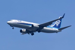 chikoさんが、羽田空港で撮影した全日空 737-881の航空フォト（飛行機 写真・画像）