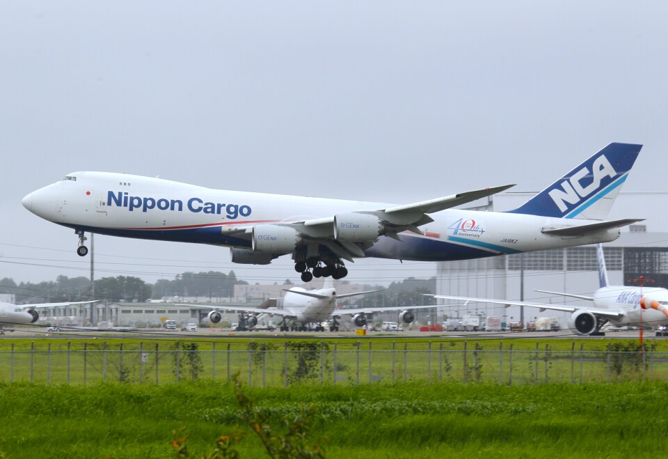 日本貨物航空747 （1/200） Yahoo!オークション - 日本貨物航空 B747-8 FREIGHTER 1/200