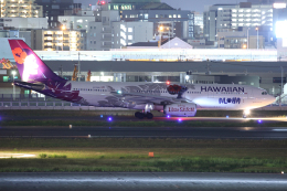 板付蒲鉾さんが、福岡空港で撮影したハワイアン航空 A330-243の航空フォト（飛行機 写真・画像）