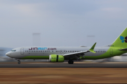 B737_loverさんが、高松空港で撮影したジンエアー 737-8-MAXの航空フォト（飛行機 写真・画像）
