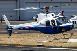 T spotterさんが、東京ヘリポートで撮影した東邦航空 AS350B Ecureuilの航空フォト（飛行機 写真・画像）