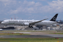 エバー航空 787-10 スターアライアンス塗装 B-17812 1/400 Amazon.com: EVA Air 787-10 Star Alliance Paint B-17812 1/400