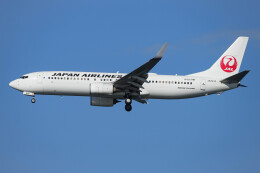 円周率さんが、羽田空港で撮影した日本航空 737-846の航空フォト（飛行機 写真・画像）