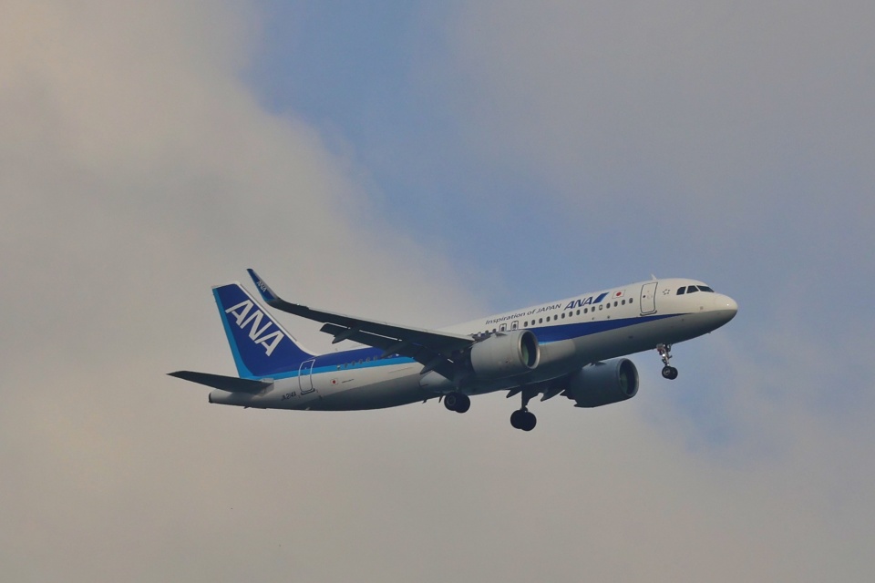 航空機・ヘリコプター ANA A320 JA8997 2020 全日空 Airbus A320neo JA214A 石見空港 航空フォト | by 小澤精