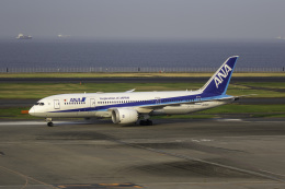 機体記号 : JA802A (ANA) 航空機体ガイド | FlyTeam(フライチーム)
