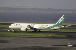 ANA(全日本空輸) - 【新品】1:200 ANA Green Jet B787-9 JA871A ANA(全日本空輸) - 【新品】1:200 ANA Green Jet B787-9 JA871A
