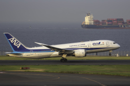 航空機・ヘリコプター BOEING 787-8 ANA JA817A 注文割引 ANA B787-8 787ロゴ JA817A ｜Phoenix 1/400 航空機