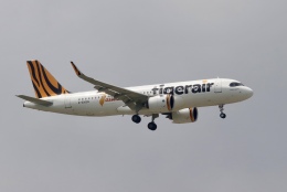 ひこ金太郎さんが、成田国際空港で撮影したタイガーエア台湾 A320-271Nの航空フォト（飛行機 写真・画像）