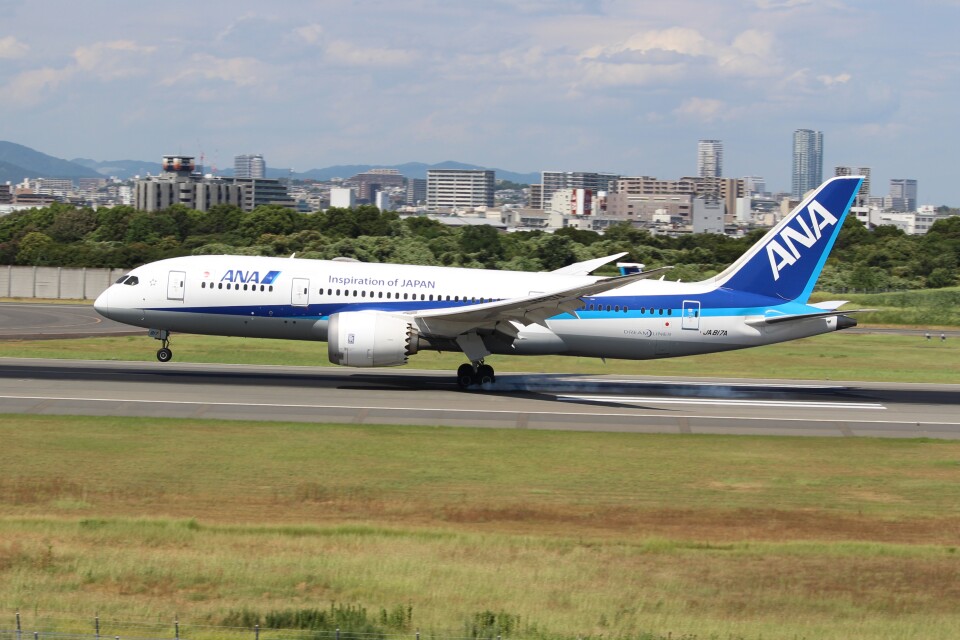 全日空 Boeing 787-8 Dreamliner JA817A 伊丹空港 航空フォト